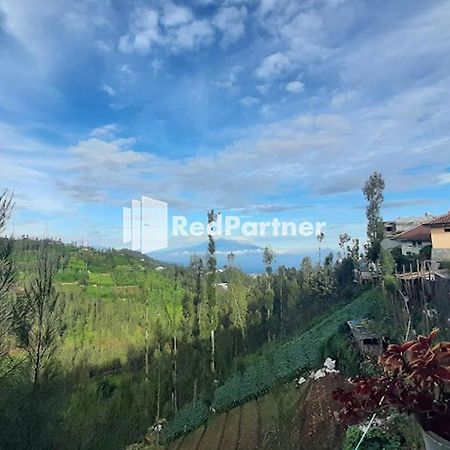 Bromo Indah Lestari Homestay Mitra Reddoorz Pasuruan Exterior foto